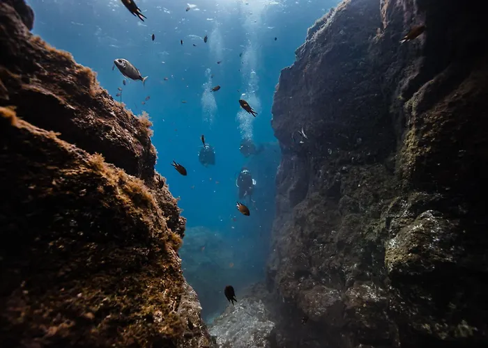 Apartment Petit Nid Douillet Au 2eme Etage